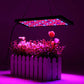 1000W LED Grow Light Full Spectrum Panel Lamp Indoor Flower Veg Plant Hydroponic Light_0